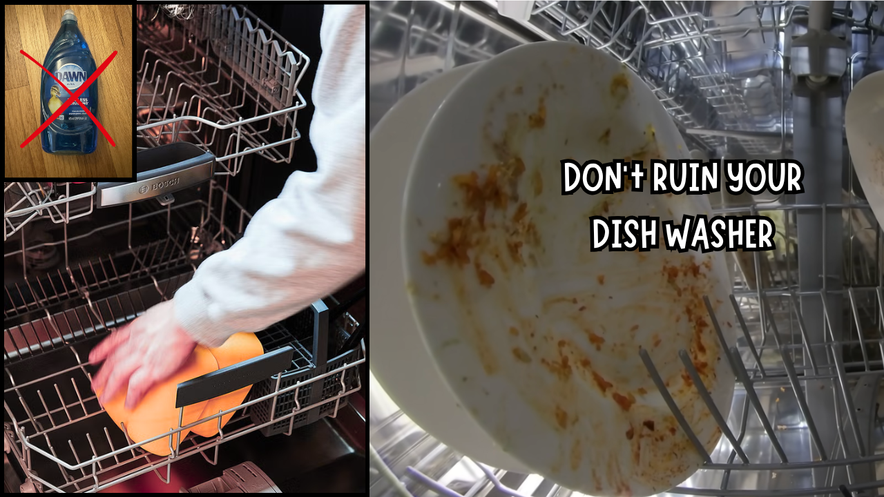 The Worst Thing You Can Put Into Your Dishwasher, According to Plumbers