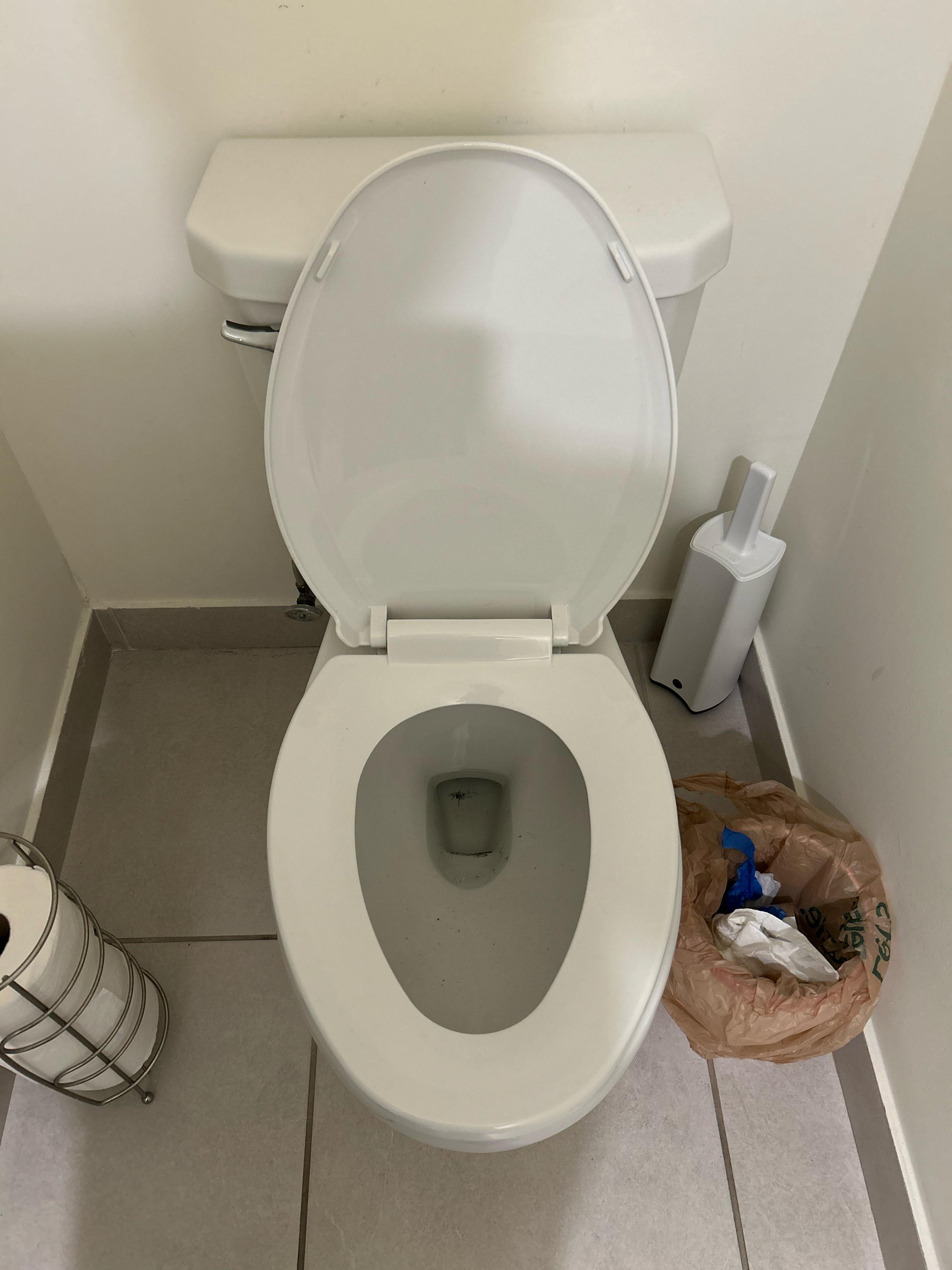 Toilet Clogged? This is Why It Happens.